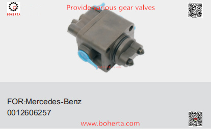 Mercedes-Benz gear valve