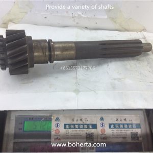 3261-YZ One shaft (낮은 기어) with 6411N bearing