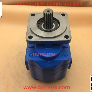 11C0043 Pompe hydraulique Liugong