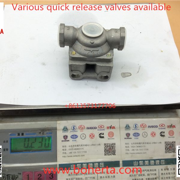 Quick release valve