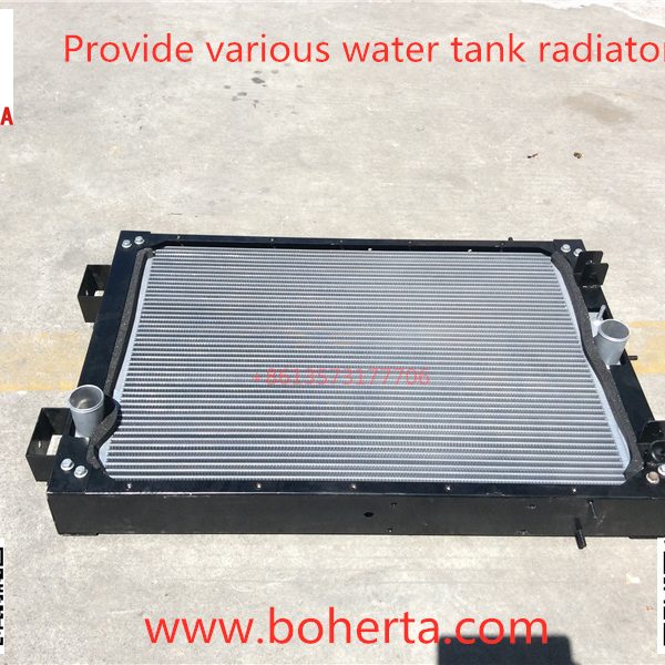 Conjunto de radiador del tanque de agua ZK6122H9